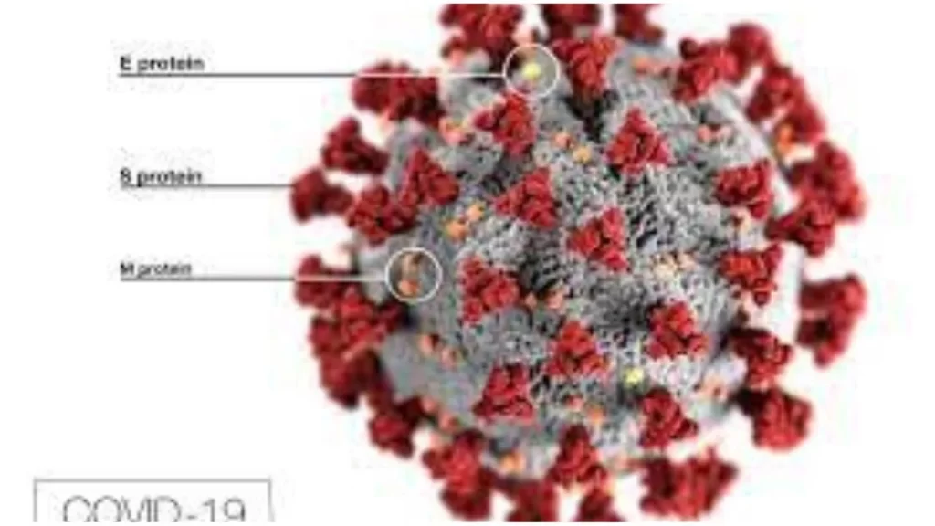 Worldcoronaviras (WCV) is a mutated form of the coronavirus