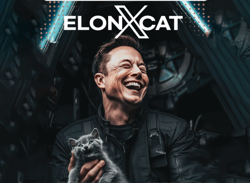elonxcat